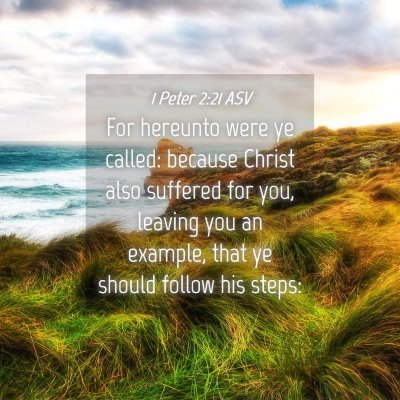 Picture 04 - 1 Peter 2:21 ASV - For hereunto were ye called: because Christ also - Bible Verse Picture