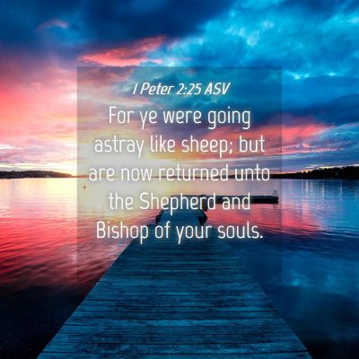 Picture 04 - 1 Peter 2:25 ASV - For ye were going astray like sheep; but are now - Bible Verse Picture