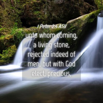 Picture 04 - 1 Peter 2:4 ASV - unto whom coming, a living stone, rejected indeed - Bible Verse Picture