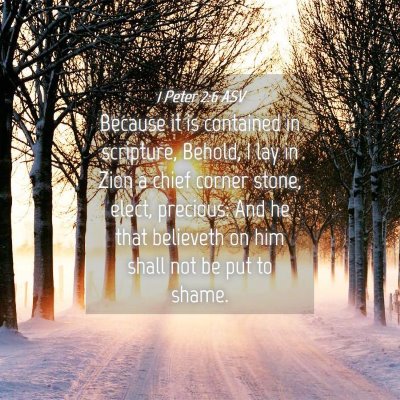 Picture 04 - 1 Peter 2:6 ASV - Because it is contained in scripture, Behold, I - Bible Verse Picture