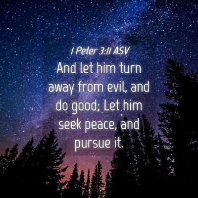 Picture 04 - 1 Peter 3:11 ASV - And let him turn away from evil, and do good; Let - Bible Verse Picture
