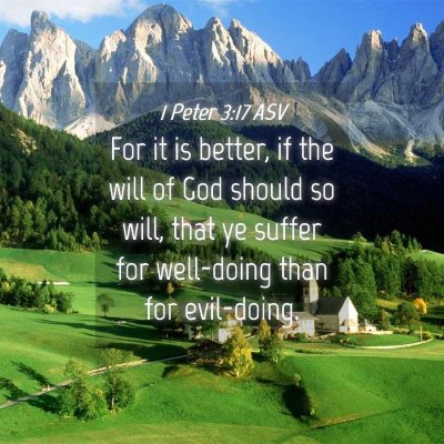 Picture 04 - 1 Peter 3:17 ASV - For it is better, if the will of God should so - Bible Verse Picture