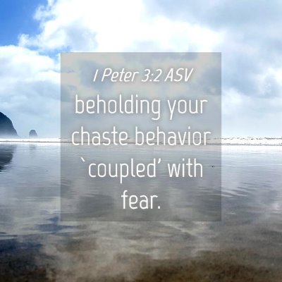Picture 04 - 1 Peter 3:2 ASV - beholding your chaste behavior `coupled' with - Bible Verse Picture