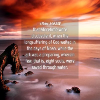 Picture 04 - 1 Peter 3:20 ASV - that aforetime were disobedient, when the - Bible Verse Picture