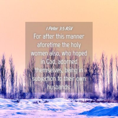 Picture 04 - 1 Peter 3:5 ASV - For after this manner aforetime the holy women - Bible Verse Picture
