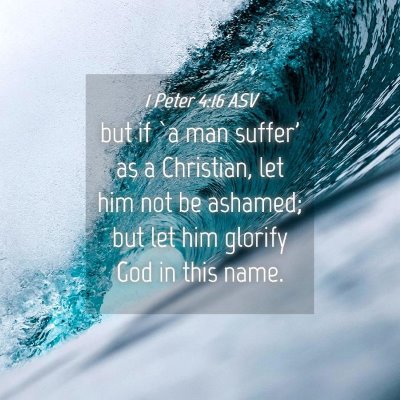 Picture 04 - 1 Peter 4:16 ASV - but if `a man suffer' as a Christian, let him not - Bible Verse Picture