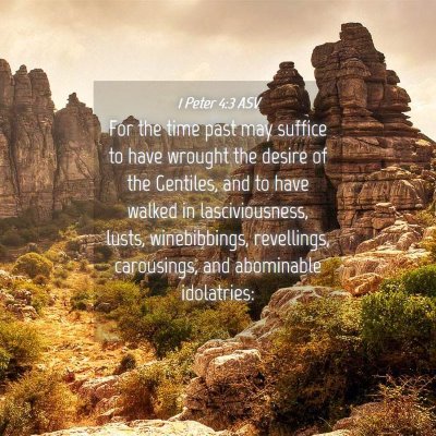 Picture 04 - 1 Peter 4:3 ASV - For the time past may suffice to have wrought the - Bible Verse Picture