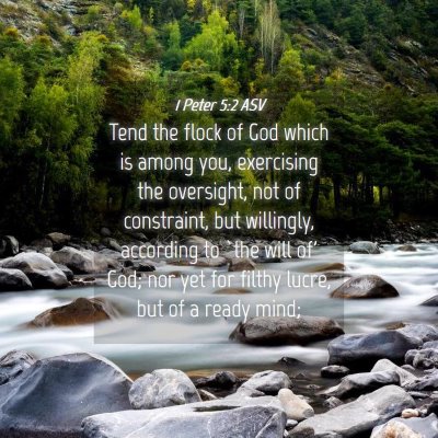Picture 04 - 1 Peter 5:2 ASV - Tend the flock of God which is among you, - Bible Verse Picture