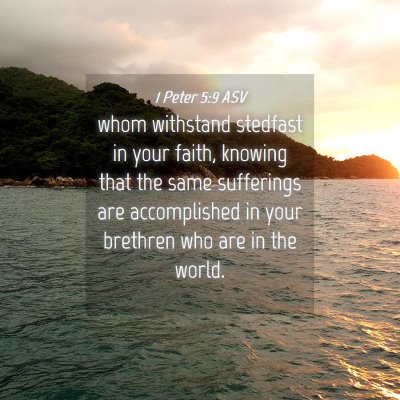 Picture 04 - 1 Peter 5:9 ASV - whom withstand stedfast in your faith, knowing - Bible Verse Picture