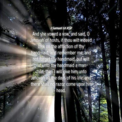 Picture 04 - 1 Samuel 1:11 ASV - And she vowed a vow, and said, O Jehovah of - Bible Verse Picture
