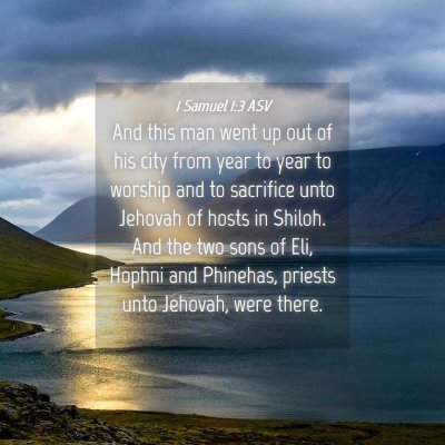 Picture 04 - 1 Samuel 1:3 ASV - And this man went up out of his city from year to - Bible Verse Picture