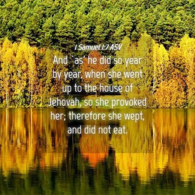 Picture 04 - 1 Samuel 1:7 ASV - And `as' he did so year by year, when she went up - Bible Verse Picture