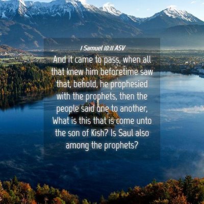 Picture 04 - 1 Samuel 10:11 ASV - And it came to pass, when all that knew him - Bible Verse Picture