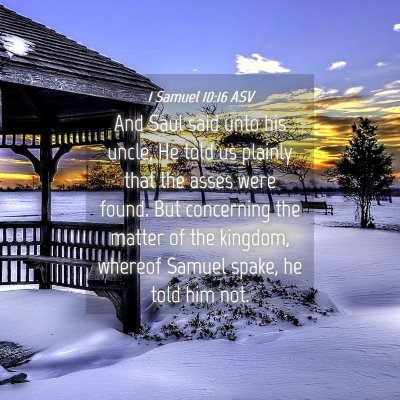 Picture 04 - 1 Samuel 10:16 ASV - And Saul said unto his uncle, He told us plainly - Bible Verse Picture