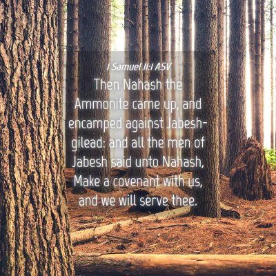 Picture 04 - 1 Samuel 11:1 ASV - Then Nahash the Ammonite came up, and encamped - Bible Verse Picture