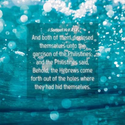 Picture 04 - 1 Samuel 14:11 ASV - And both of them disclosed themselves unto the - Bible Verse Picture