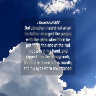 Picture 04 - 1 Samuel 14:27 ASV - But Jonathan heard not when his father charged - Bible Verse Picture