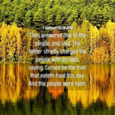 Picture 04 - 1 Samuel 14:28 ASV - Then answered one of the people, and said, Thy - Bible Verse Picture