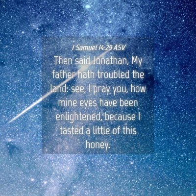 Picture 04 - 1 Samuel 14:29 ASV - Then said Jonathan, My father hath troubled the - Bible Verse Picture