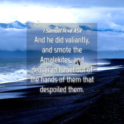 Picture 04 - 1 Samuel 14:48 ASV - And he did valiantly, and smote the Amalekites, - Bible Verse Picture