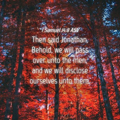 Picture 04 - 1 Samuel 14:8 ASV - Then said Jonathan, Behold, we will pass over - Bible Verse Picture