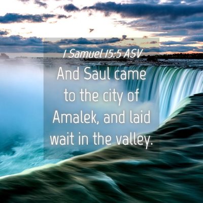 Picture 04 - 1 Samuel 15:5 ASV - And Saul came to the city of Amalek, and laid - Bible Verse Picture