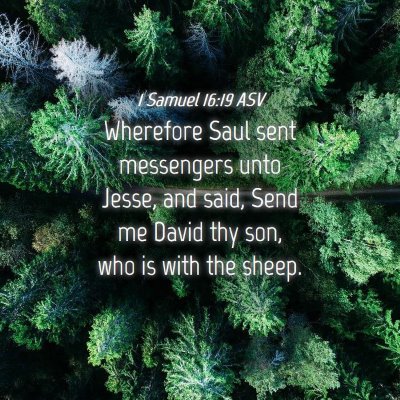 Picture 04 - 1 Samuel 16:19 ASV - Wherefore Saul sent messengers unto Jesse, and - Bible Verse Picture
