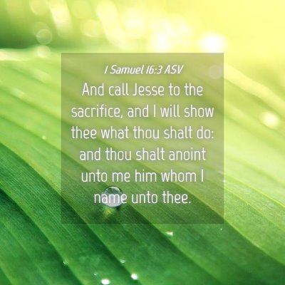 Picture 04 - 1 Samuel 16:3 ASV - And call Jesse to the sacrifice, and I will show - Bible Verse Picture