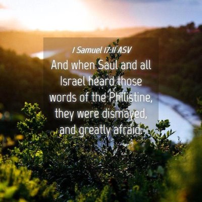 Picture 04 - 1 Samuel 17:11 ASV - And when Saul and all Israel heard those words of - Bible Verse Picture