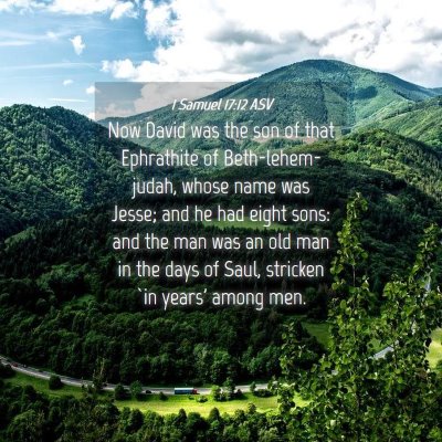 Picture 04 - 1 Samuel 17:12 ASV - Now David was the son of that Ephrathite of - Bible Verse Picture