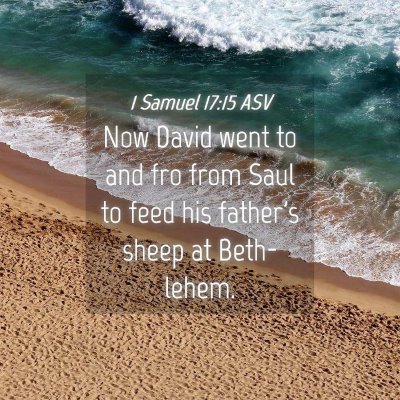 Picture 04 - 1 Samuel 17:15 ASV - Now David went to and fro from Saul to feed his - Bible Verse Picture