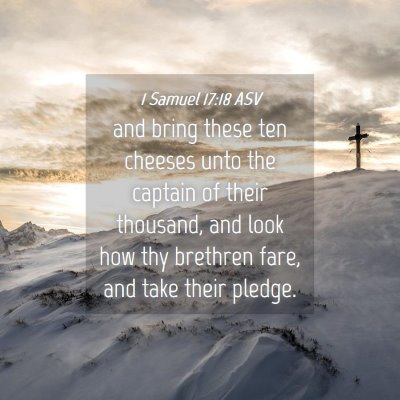 Picture 04 - 1 Samuel 17:18 ASV - and bring these ten cheeses unto the captain of - Bible Verse Picture