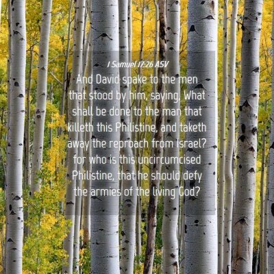 Picture 04 - 1 Samuel 17:26 ASV - And David spake to the men that stood by him, - Bible Verse Picture