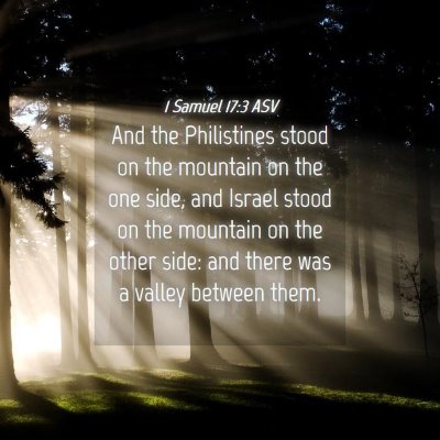 Picture 04 - 1 Samuel 17:3 ASV - And the Philistines stood on the mountain on the - Bible Verse Picture