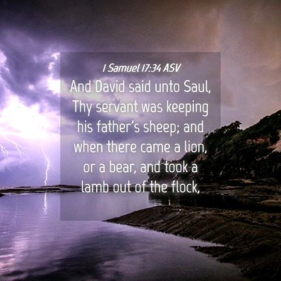 Picture 04 - 1 Samuel 17:34 ASV - And David said unto Saul, Thy servant was keeping - Bible Verse Picture