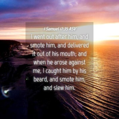 Picture 04 - 1 Samuel 17:35 ASV - I went out after him, and smote him, and - Bible Verse Picture