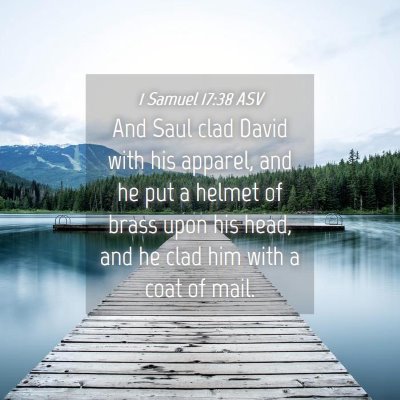 Picture 04 - 1 Samuel 17:38 ASV - And Saul clad David with his apparel, and he put - Bible Verse Picture