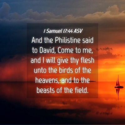 Picture 04 - 1 Samuel 17:44 ASV - And the Philistine said to David, Come to me, and - Bible Verse Picture