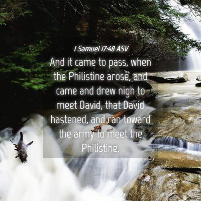 Picture 04 - 1 Samuel 17:48 ASV - And it came to pass, when the Philistine arose, - Bible Verse Picture
