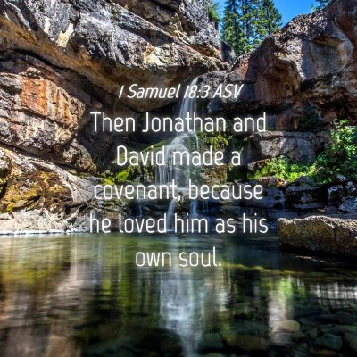 Picture 04 - 1 Samuel 18:3 ASV - Then Jonathan and David made a covenant, because - Bible Verse Picture