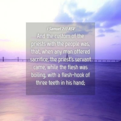 Picture 04 - 1 Samuel 2:13 ASV - And the custom of the priests with the people - Bible Verse Picture