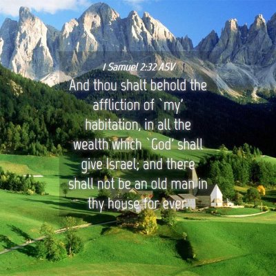 Picture 04 - 1 Samuel 2:32 ASV - And thou shalt behold the affliction of `my' - Bible Verse Picture