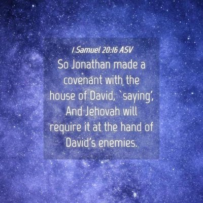 Picture 04 - 1 Samuel 20:16 ASV - So Jonathan made a covenant with the house of - Bible Verse Picture