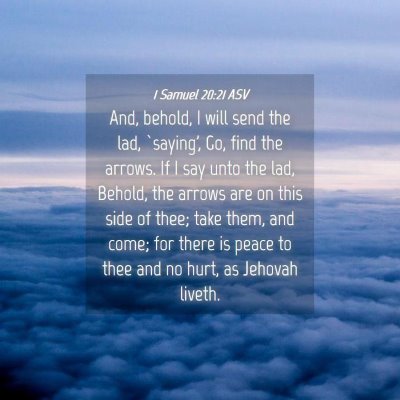 Picture 04 - 1 Samuel 20:21 ASV - And, behold, I will send the lad, `saying', Go, - Bible Verse Picture