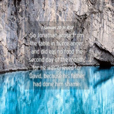 Picture 04 - 1 Samuel 20:34 ASV - So Jonathan arose from the table in fierce anger, - Bible Verse Picture