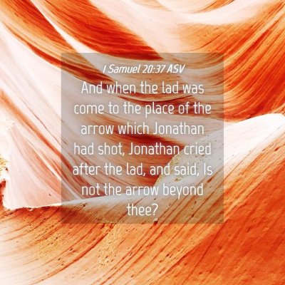 Picture 04 - 1 Samuel 20:37 ASV - And when the lad was come to the place of the - Bible Verse Picture