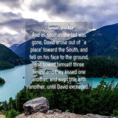 Picture 04 - 1 Samuel 20:41 ASV - And as soon as the lad was gone, David arose out - Bible Verse Picture