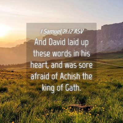 Picture 04 - 1 Samuel 21:12 ASV - And David laid up these words in his heart, and - Bible Verse Picture