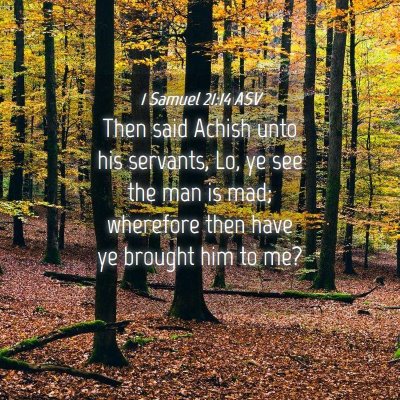 Picture 04 - 1 Samuel 21:14 ASV - Then said Achish unto his servants, Lo, ye see - Bible Verse Picture