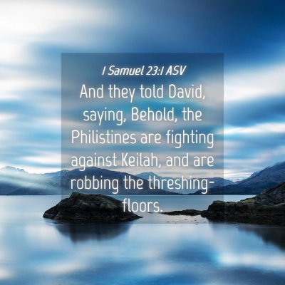 Picture 04 - 1 Samuel 23:1 ASV - And they told David, saying, Behold, the - Bible Verse Picture